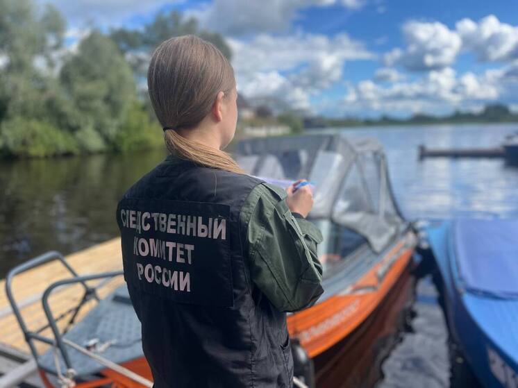 В Чудовском районе утонул житель Ленинградской области