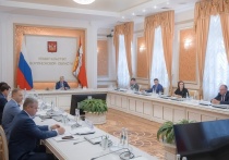 Федеральные министерства и организации поддержали заявку Воронежской области на получение казначейских инфраструктурных кредитов