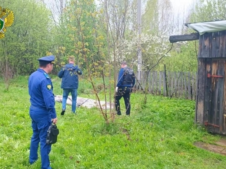 За убийство знакомой отправлен на принудительное лечение житель Вохмы