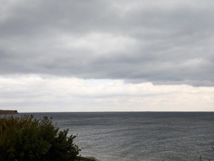 Мощный ветер и похолодание до +8 градусов ожидаются в Волгоградской области