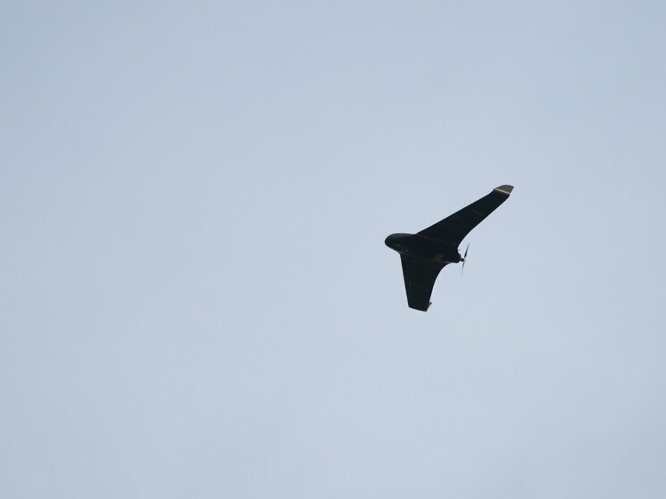 Минобороны сообщило о 8 сбитых беспилотниках в Воронежской, Белгородской и Брянской областях