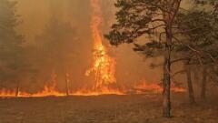 На Херсонщине из-за обстрелов ВСУ произошло восемь пожаров