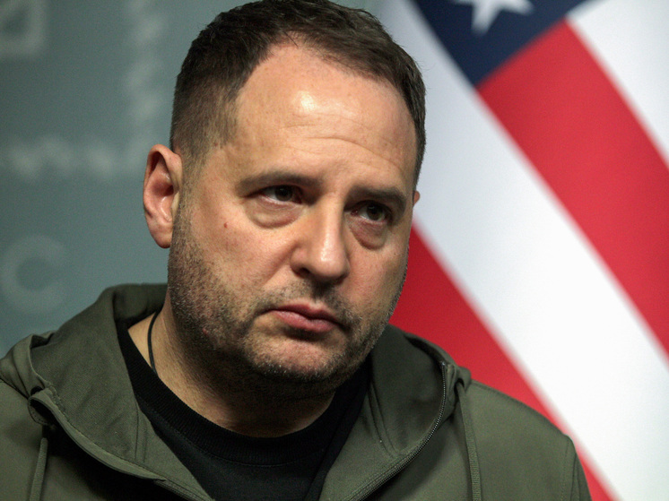 Рогов расценил заявление Ермака о новых регионах России как «словоблудие»