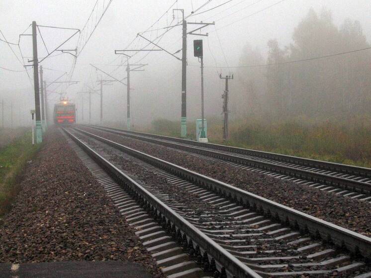 МЧС Подмосковья предупредило о сильном тумане утром в пятницу