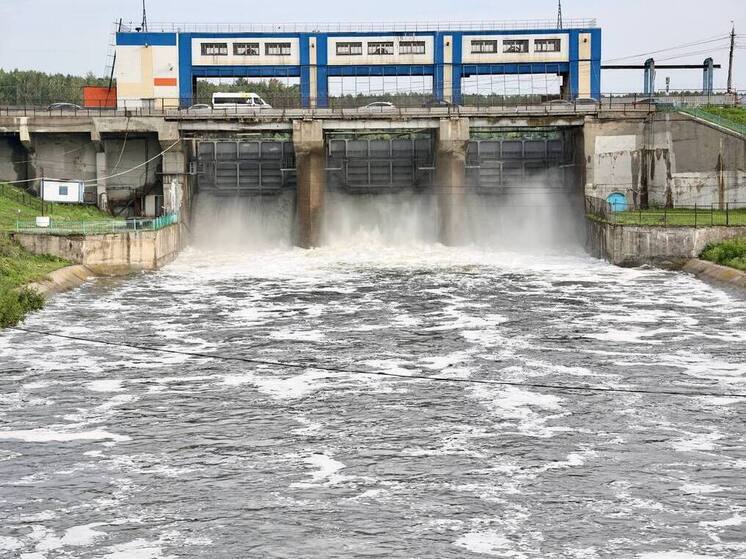 В Шершневское водохранилище выпустили более 200 тысяч мальков сазана