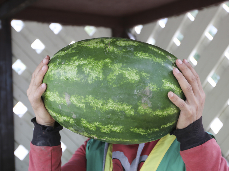 Врач Тен: арбуз может снижать риск развития сердечно-сосудистых заболеваний и рака