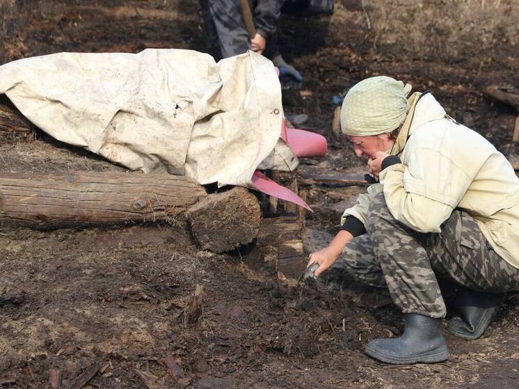 400-летние артефакты нашли на раскопках в древней Мангазее