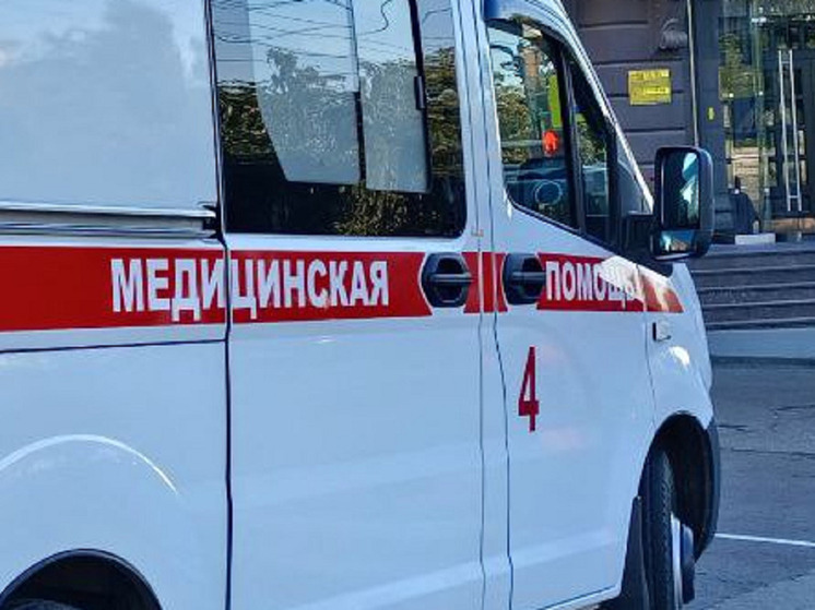 Минздрав рассказал о состоянии девочки, лицо которой разодрала собака в Барнауле