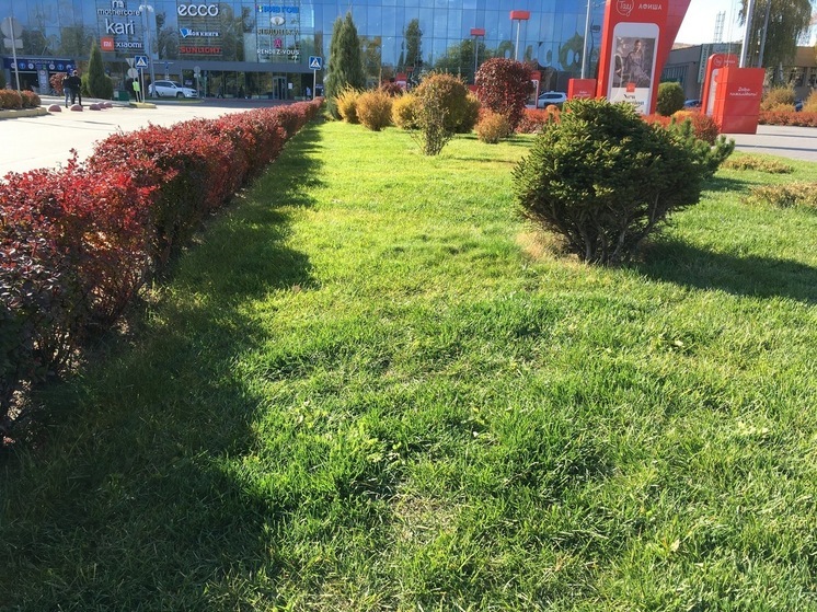 В Саратовской области 22 августа установится жара до +29 градусов