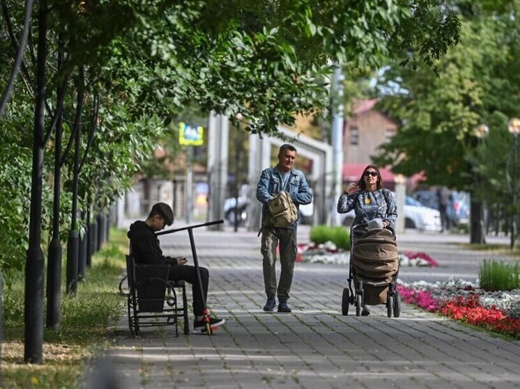 В Тюменской области наступает второй этап активности клещей