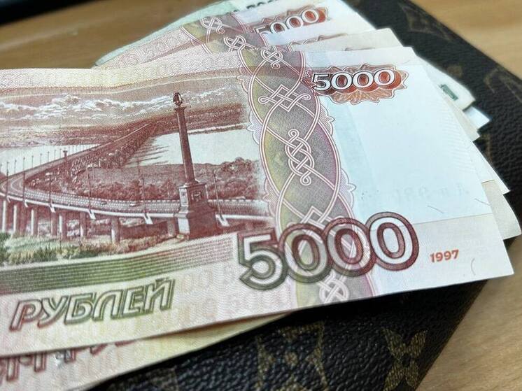 В Алтайском крае сельчанка украла у пожилого соседа 50 тысяч рублей и погасила свои долги