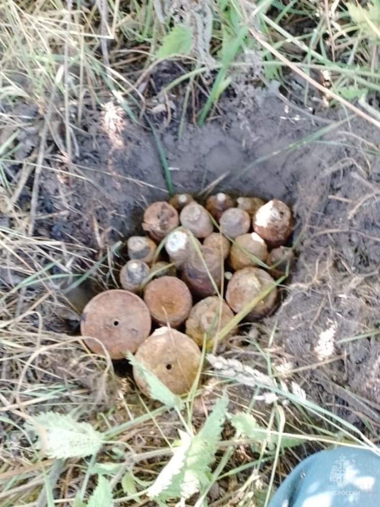 Калужские спасатели уничтожили опасную находку на Вахте Памяти