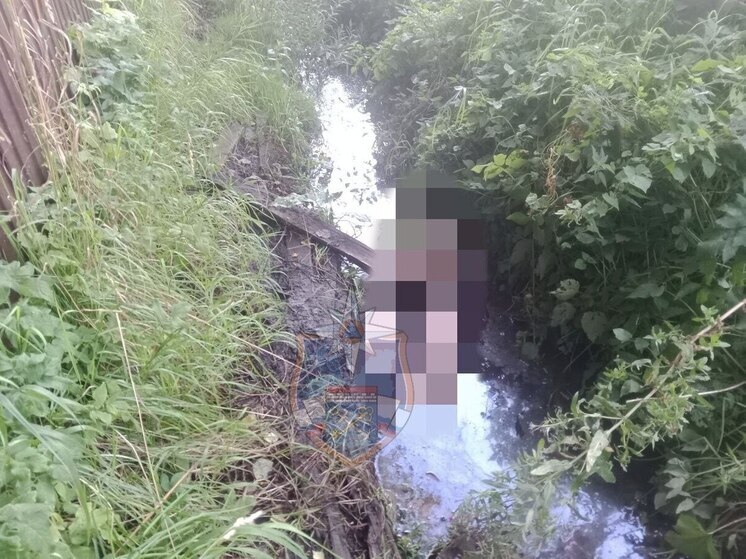 В канаве в Мурино прохожие обнаружили мертвого мужчину