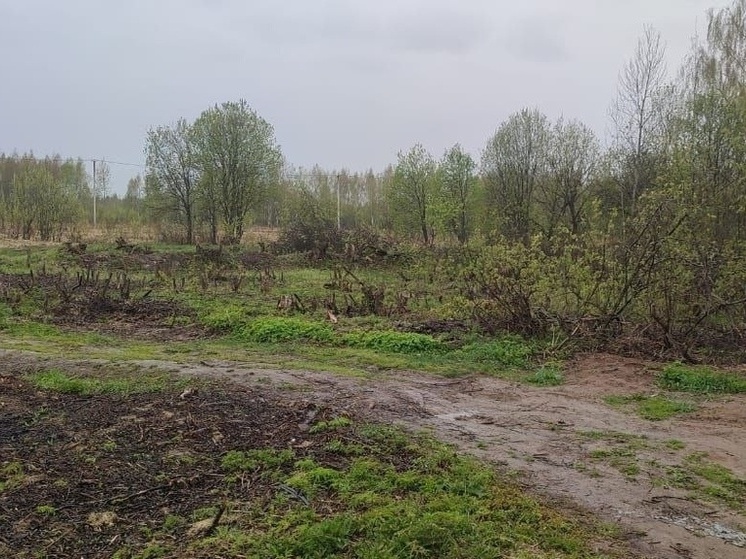 В Карабаново земли многодетным выделили в глухом месте без инфраструктуры