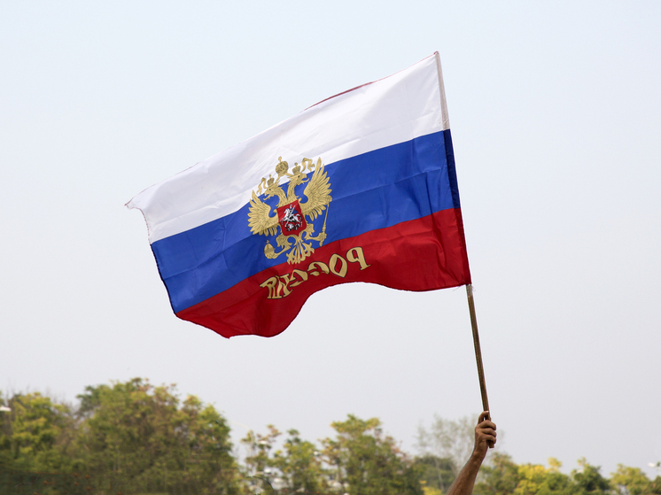 С Днем государственного флага поздравил воронежцев губернатор