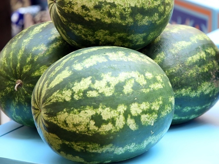 Названы продукты, которые помогут провести «техобслуживание» организма перед осенью