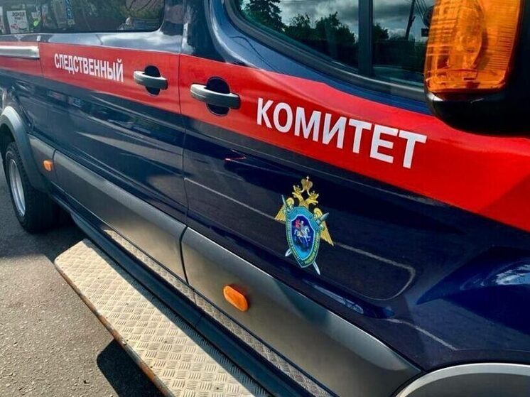 В реабилитации нацизма обвинили подростка в Алдане