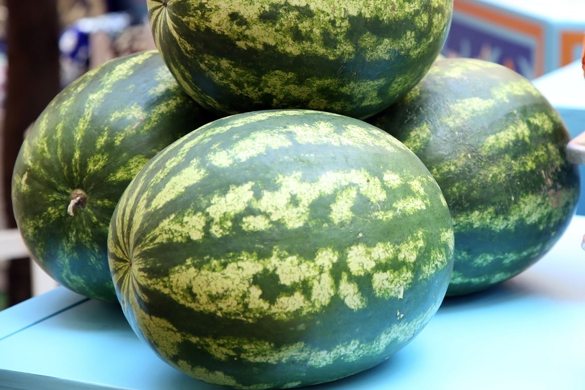 Названы продукты, которые помогут провести «техобслуживание» организма перед осенью