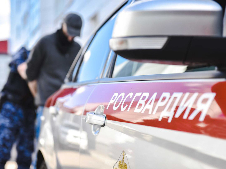Пензенец задержан за попытку создать букет из клумбы для возлюбленной