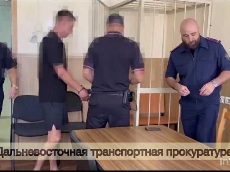 Хабаровчанина, сбившего двух девочек на сапе в Приморье, оставили в СИЗО на два месяца