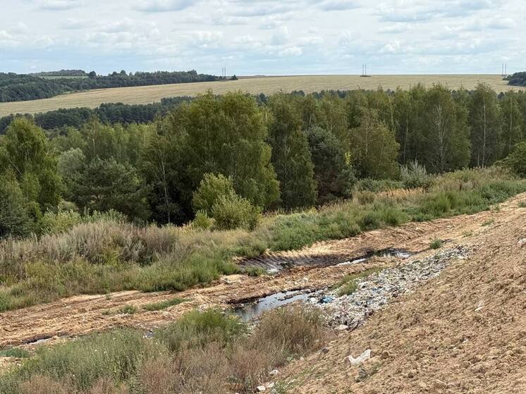Прокуратура требует устранить нарушения на полигоне ТБО в курском селе