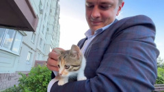 Мэр Ельца забрал домой спасенного пожарными котенка