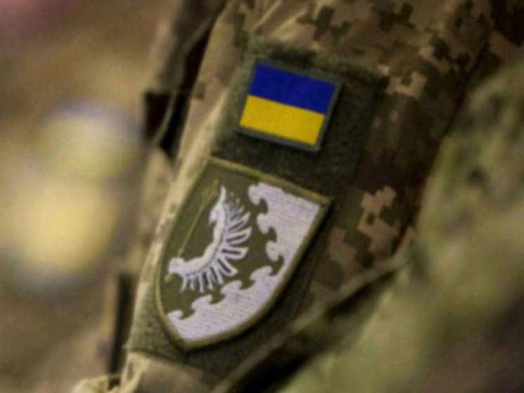 ТАСС: солдаты ВСУ чаще сдаются в плен из-за листовок в виде долларов