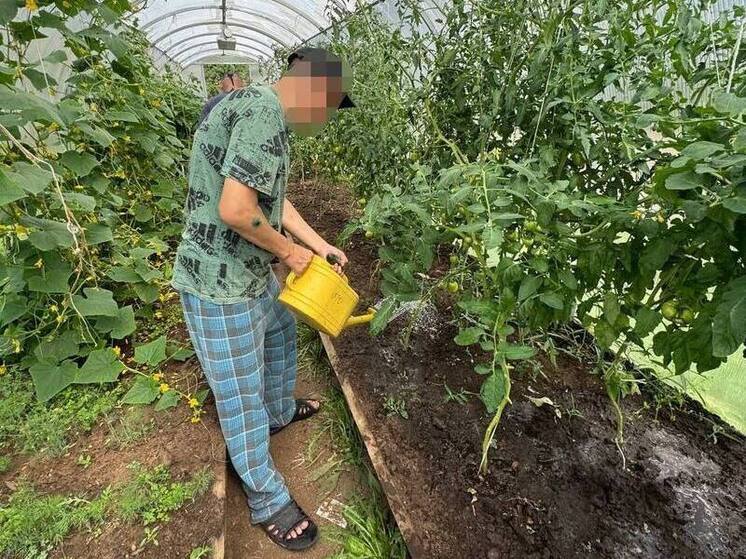 Пациенты психиатрической больницы собрали первый урожай в Чите