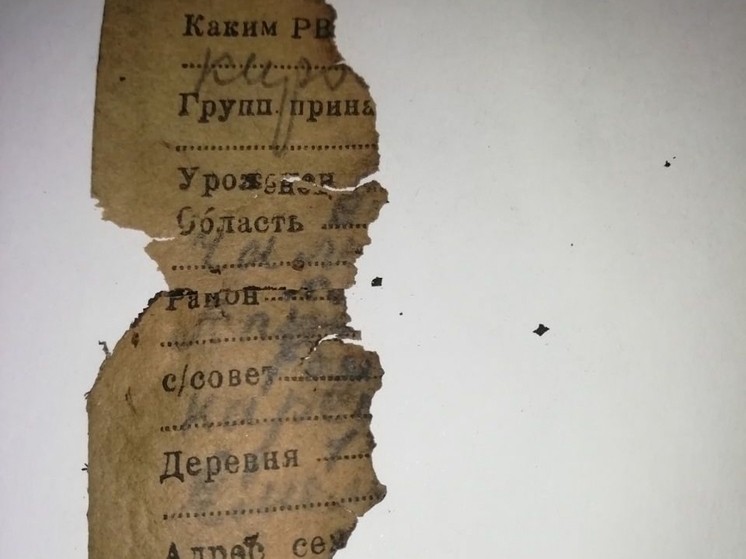 Мурманские приставы ищут родственников погибшего бойца, найденного в Карелии