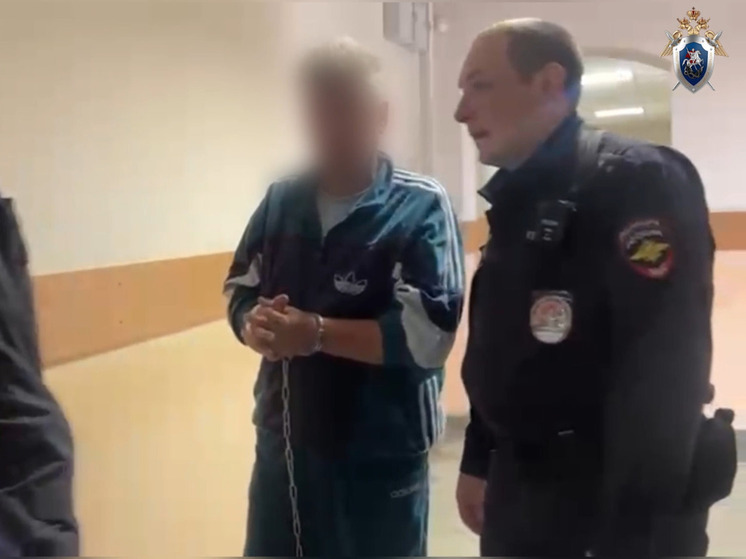Подозреваемого в убийстве жителя Вырицы заключили под стражу