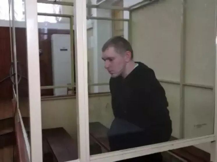 Изнасиловавшему 8-летнюю девочку в станице Ольгинской дали пожизненное
