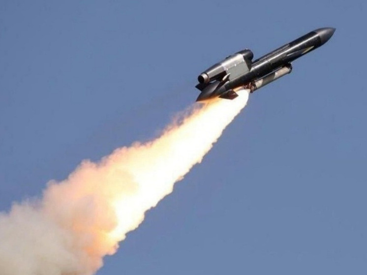 Летчик Воевода: ракета «Фламинго» получила двигатели от списанных самолетов