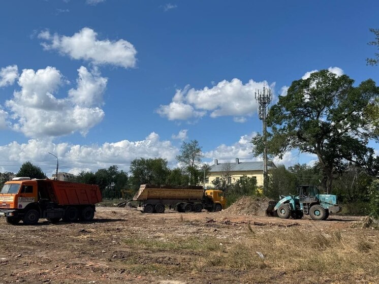 В энгельсском Летном городке готовят территорию под экопарк