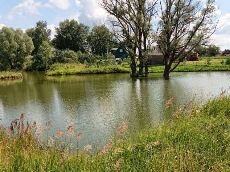 В Износковском районе государству вернули пруд