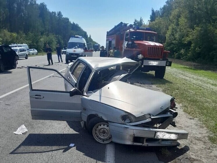 В Курской области поймали 9 пьяных водителей за сутки