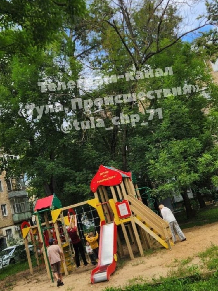 Жители двора на улице 9 Мая в Туле требуют срочного удаления сухого дерева