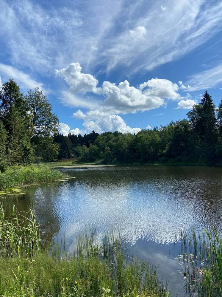 Метеоролог Сафонов: в Москву всерьез и, скорее всего, надолго пришло похолодание