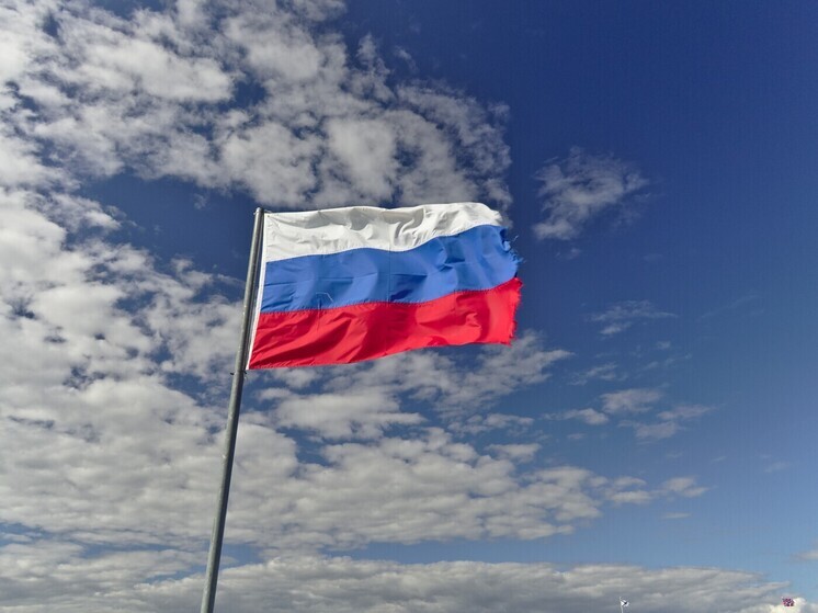 Стометровый триколор развернули в Воронеже по случаю Дня флага России