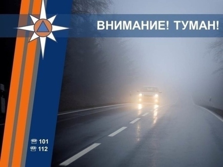 Курские спасатели предупредили водителей о ночном тумане 23 августа