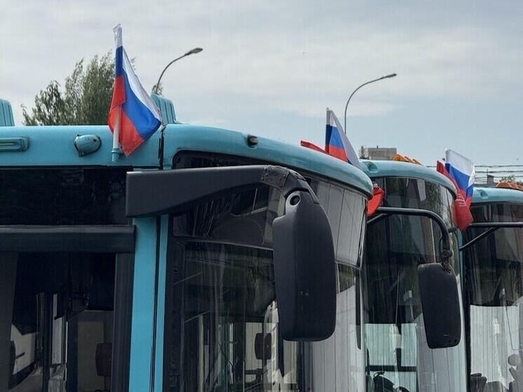 Петербургский транспорт украсили триколором ко Дню Государственного флага
