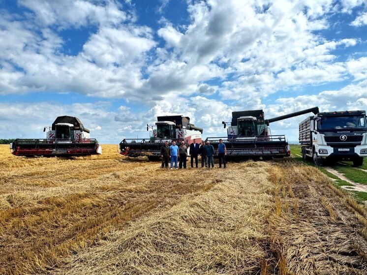 В Чебоксарском округе убрано уже 35% полей: уборочная страда в разгаре