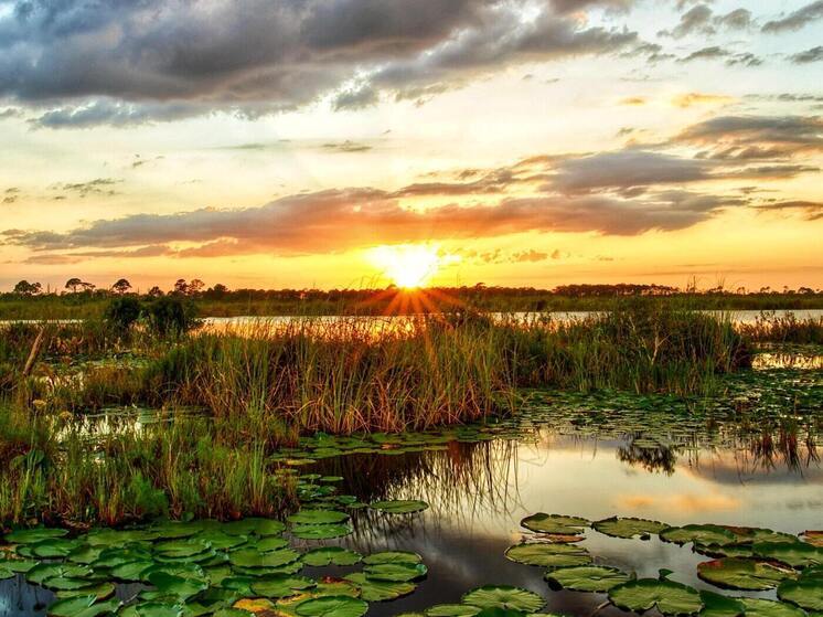 Синоптики 23 августа обещают в Смоленске облачную с прояснениями погоду