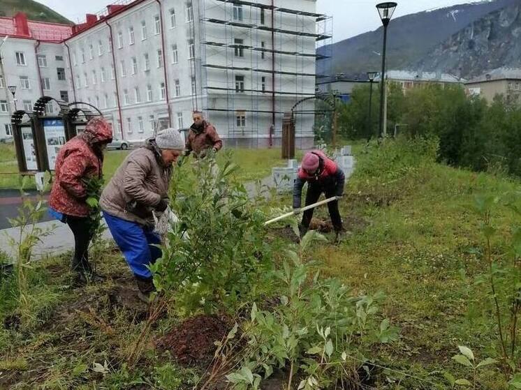 В Кировске горожане посадили 50 кустов сирени в рамках акции «Сохраним лес»