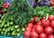 В России за год на 2,6% сократились розничные продажи свежих овощей