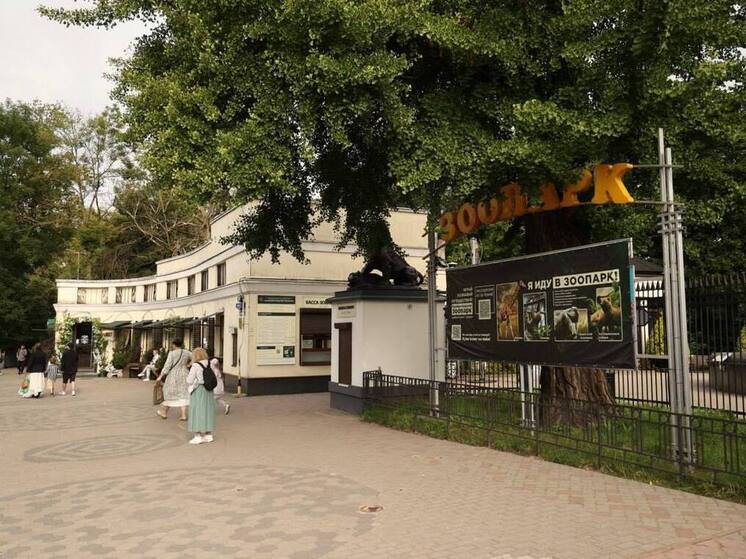 Калининградские крокодилы переедут в бывший птичник