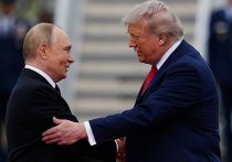 Писатель из Севастополя Платон Беседин известен как прозаик, публицист и исследователь жанра антиутопии
