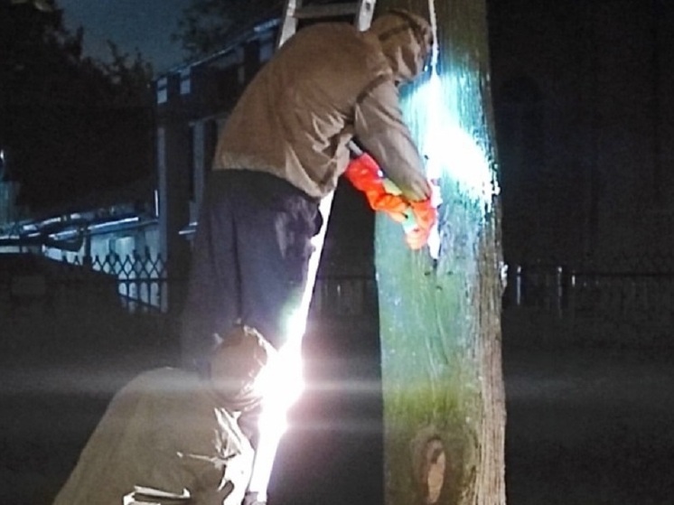 В Рязани коммунальщики ликвидировали рой шершней в центре города