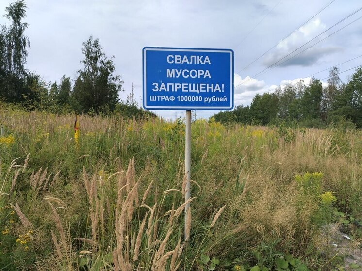 Прокуратура Петербурга навела порядок на незаконной свалке на Митрофаньевском шоссе