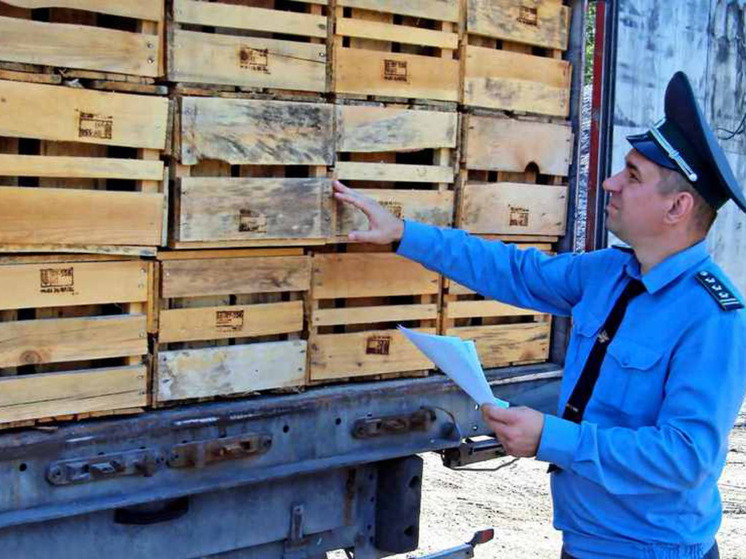 Из Калужской области за пределы страны отправили 700 тонн продуктов