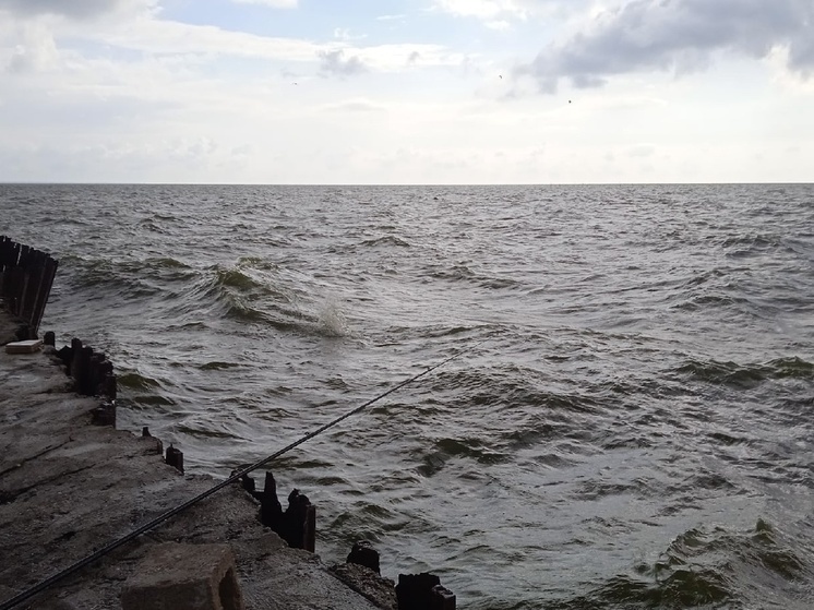 Tribune: на пляжах США участились случаи заражения смертельно опасными бактериями